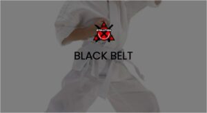 Mini Ninjas Black Belt