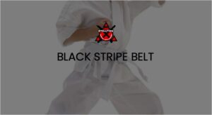 Ladies Kickboxing Black Stripe Belt