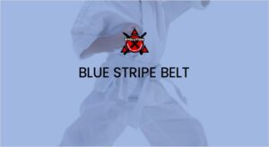 Mini Ninjas Blue Stripe Belt