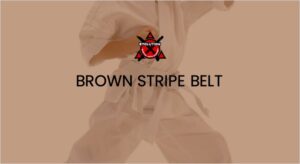 Mini Ninjas Brown Stripe Belt