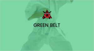 Adult Elite Green Belt