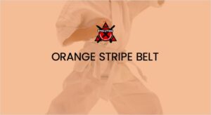 Mini Ninjas Orange Stripe Belt