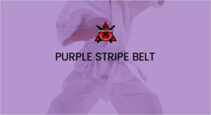 Mini Ninjas Purple Stripe Belt