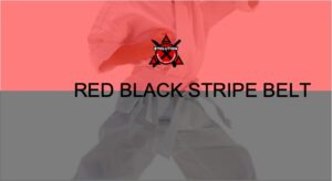 Junior Warriors Red Black Stripe Belt