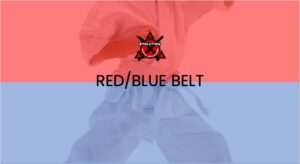 Mini Ninjas Red Blue Belt