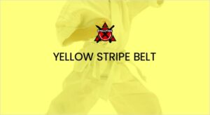 Mini Ninjas Yellow Stripe Belt