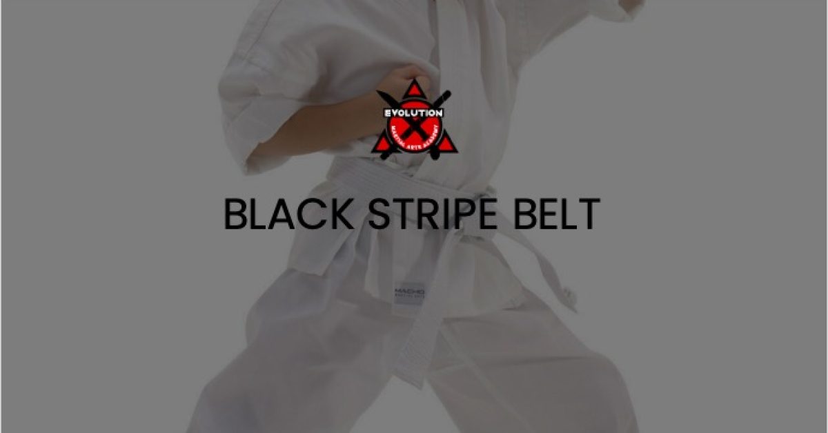 evo-courses-black-stripe-belt