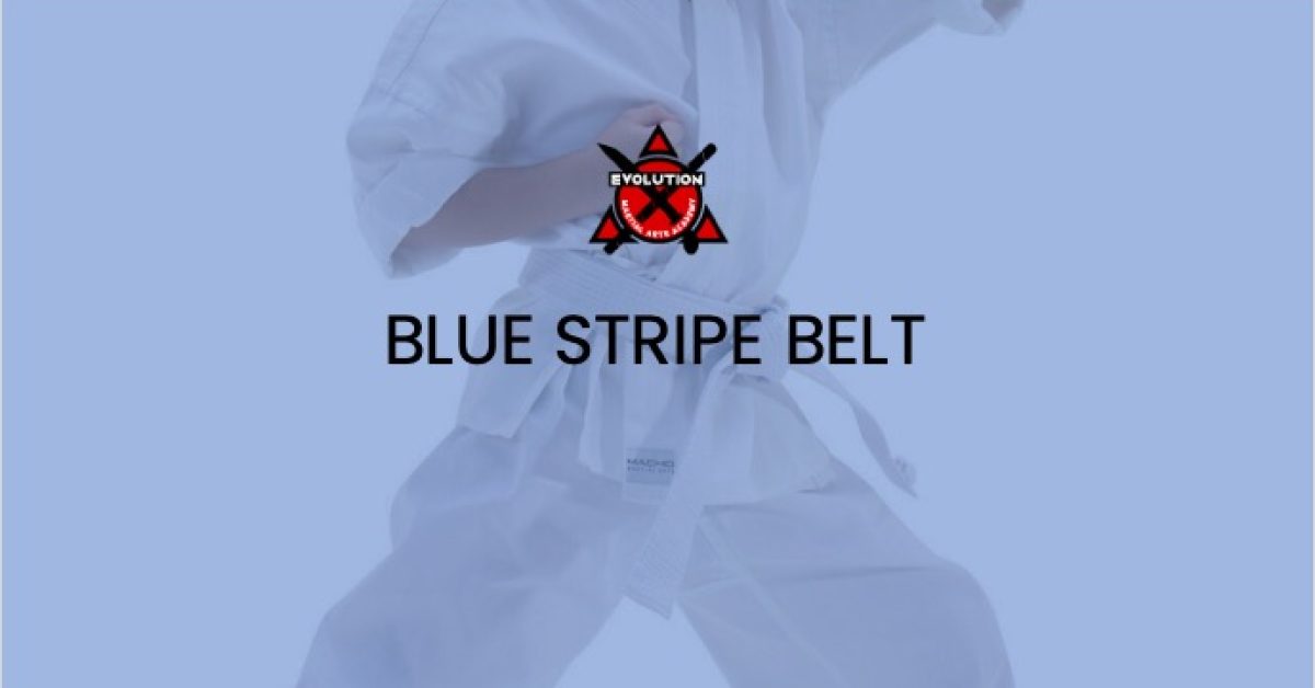 evo-courses-blue-belt