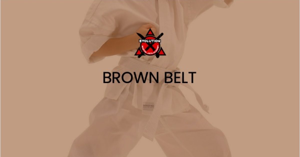 evo-courses-brown-belt