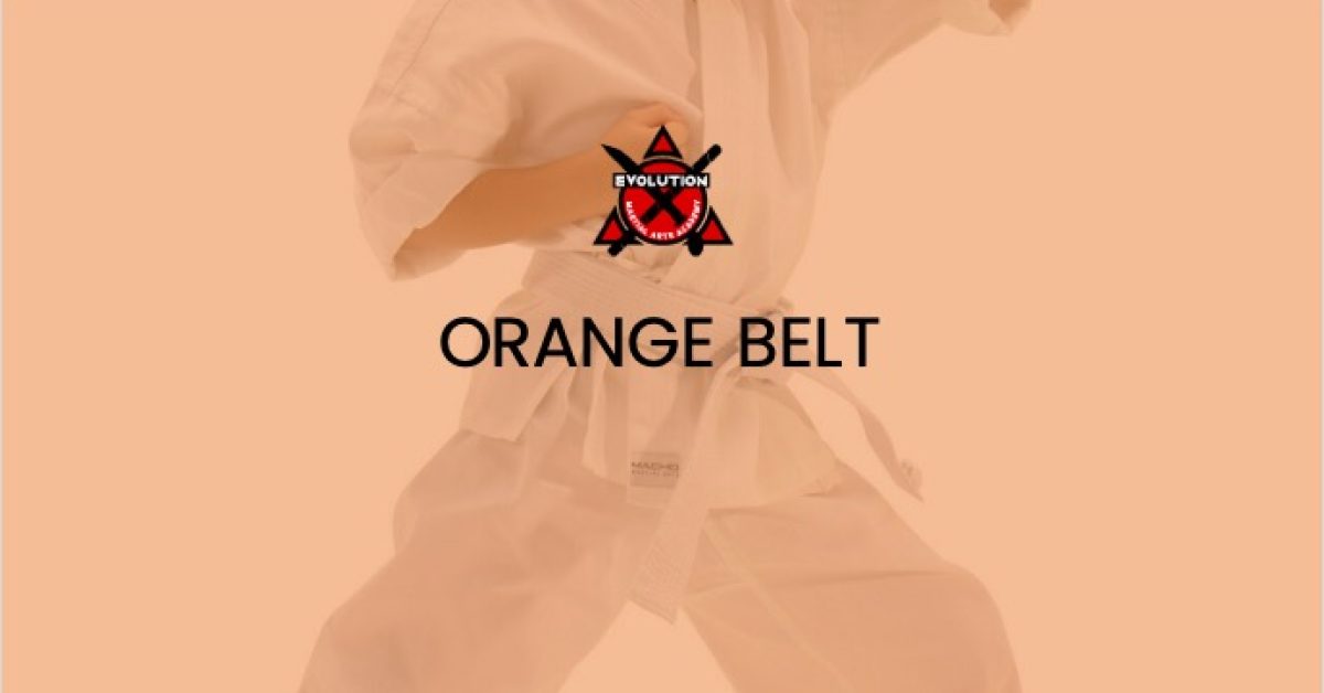 evo-courses-orange-belt