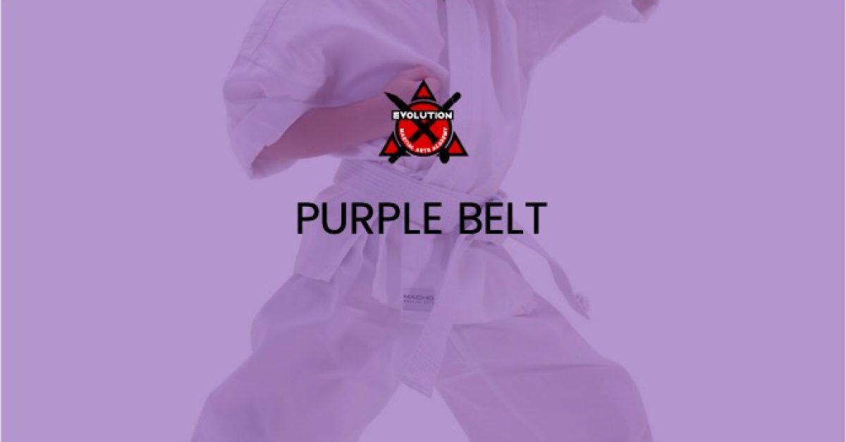 evo-courses-purple-belt