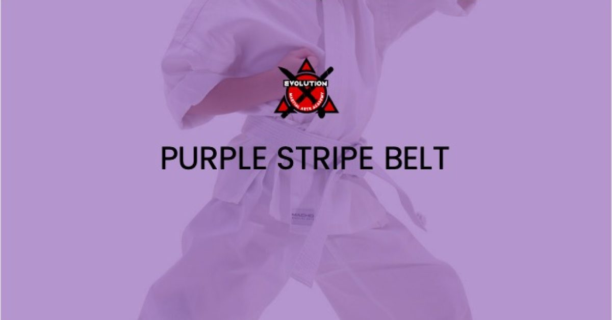 evo-courses-purple-belt