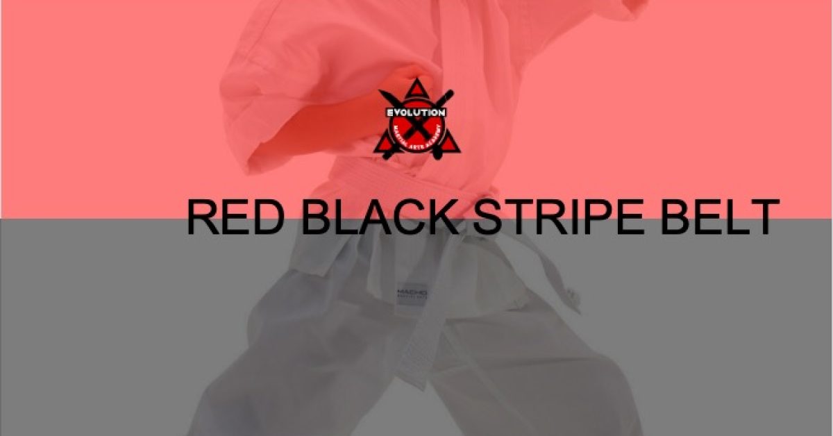 evo-courses-red-black-stripe-belt