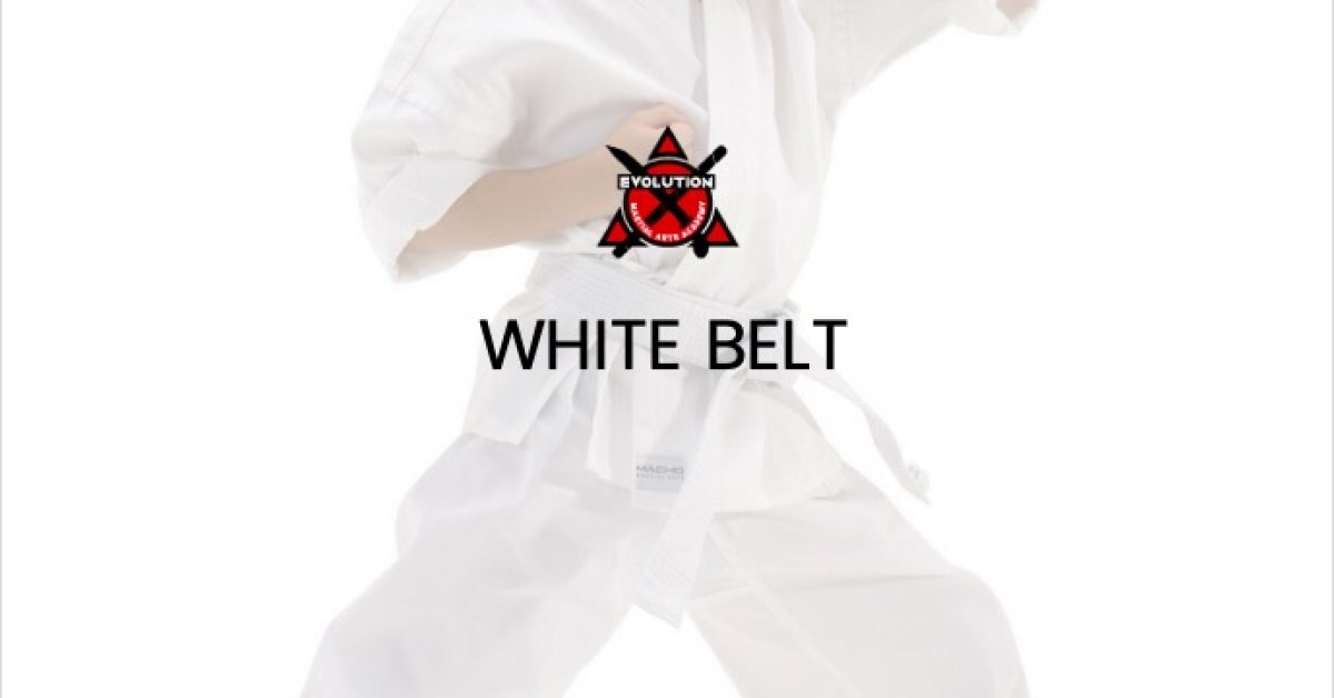 evo-courses-white-belt