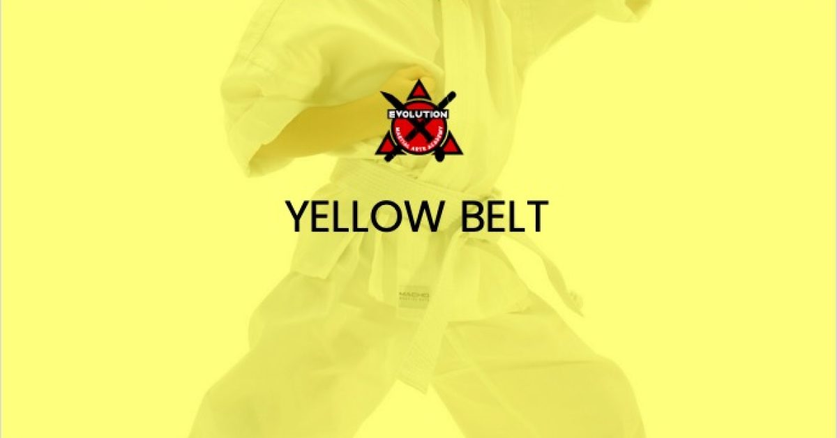 evo-courses-yellow-belt