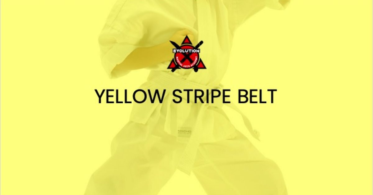evo-courses-yellow-belt