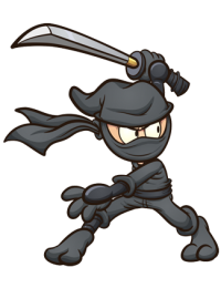 mini-ninja